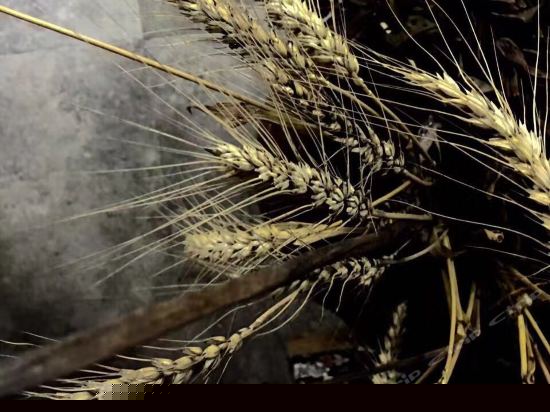 月上梅梢大床房