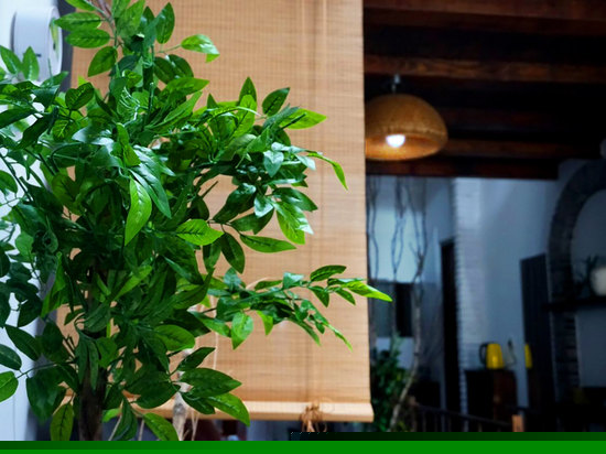 落雨闲别院（一分店独栋复式套房临院）