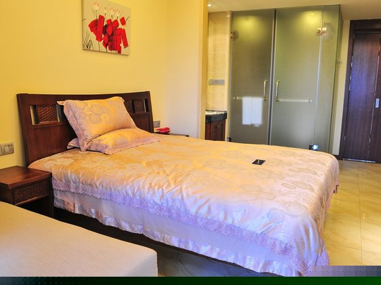 高级园景1房1厅