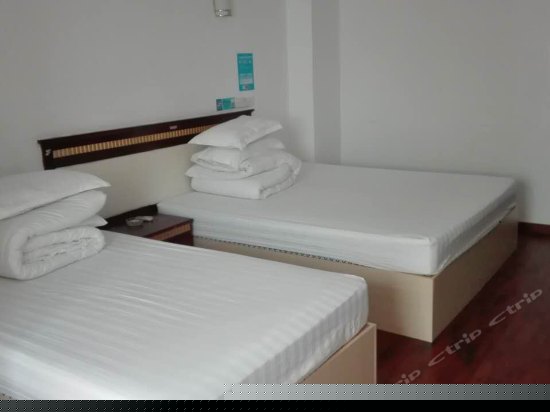 豪华商务双人间