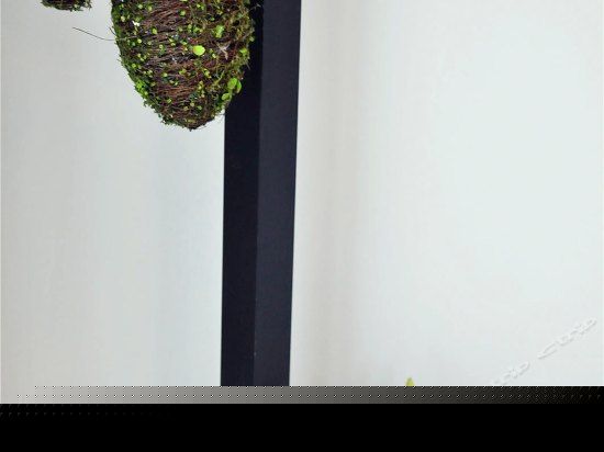 二楼素锦大床房