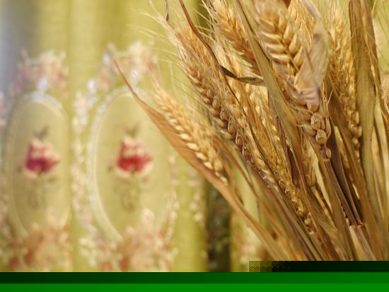 景观豪华大床房