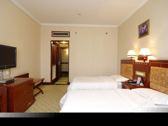 豪华商务单人房