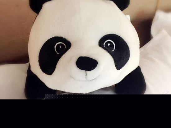 竹影清风双床房