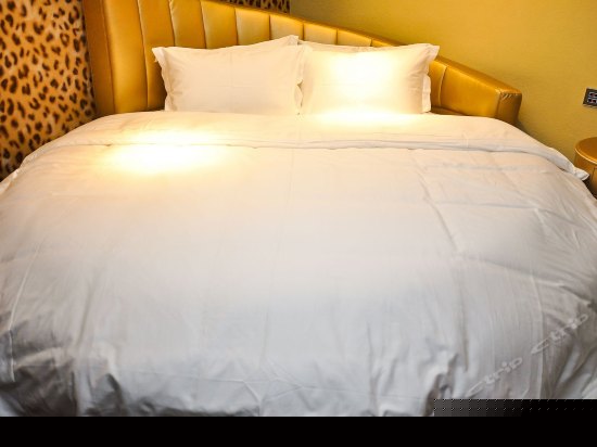 M32豪华复式野性时尚主题房