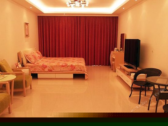 经典豪装一房套房B