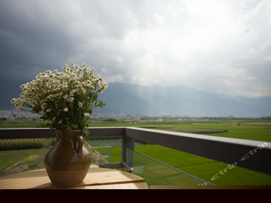 桑田至尊田园高级套房