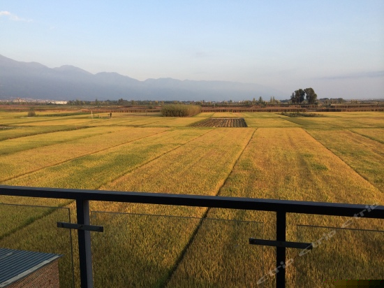 小满高级田园亲子套房