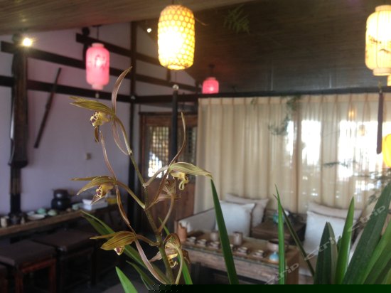 伊人小筑（临湖套间）