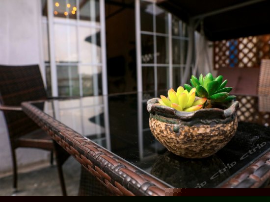 黎明语茶（带超大私享露台）