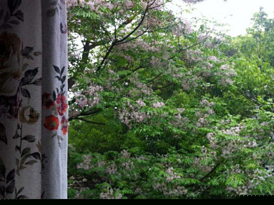 齐湄情调风景大床房