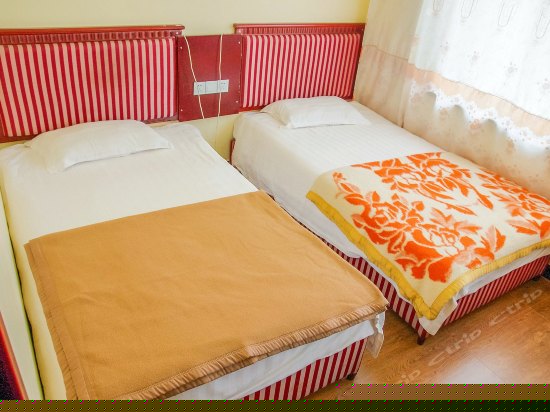 经济标准间(公卫)