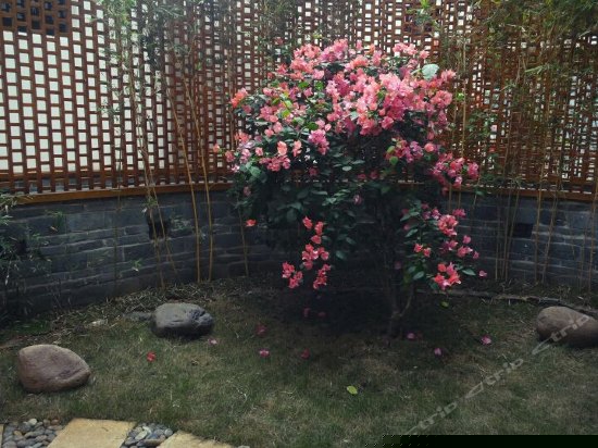 阳光庭院大床房