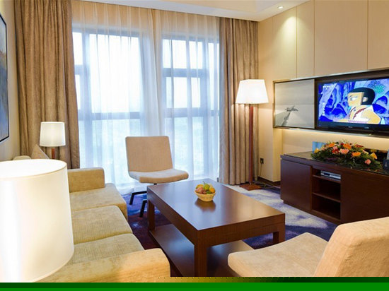 法兰克福高级套房