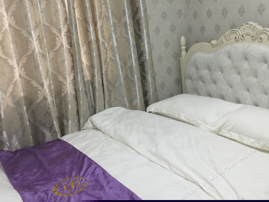 豪华风情一房一厅