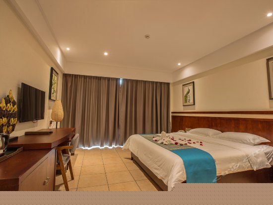 高级园景双床房