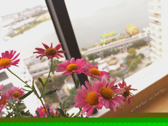 普罗旺斯薰衣草主题180度海景三居室套房