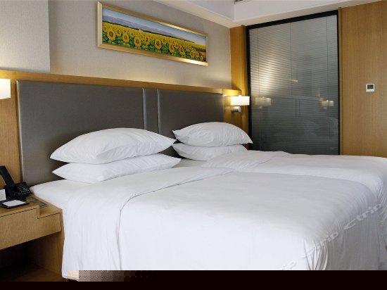 行政标准双床房