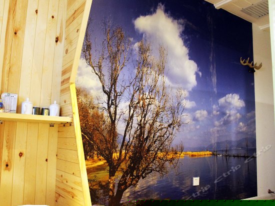 迷你摩登主题房