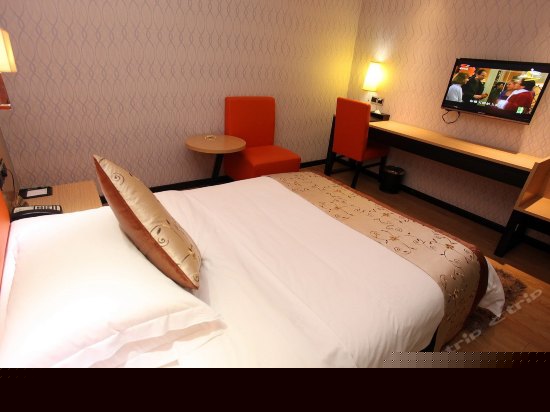 迷你房（无窗）