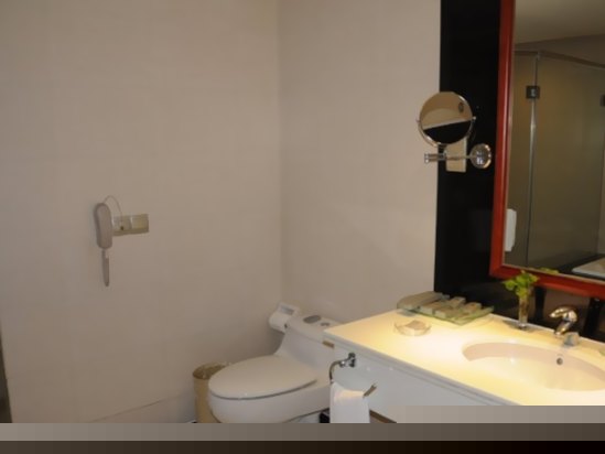 瑞豪中心房（无窗）