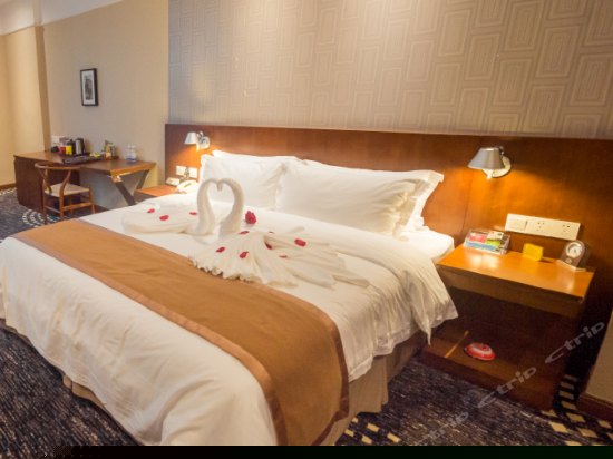 静雅精品房（无窗）