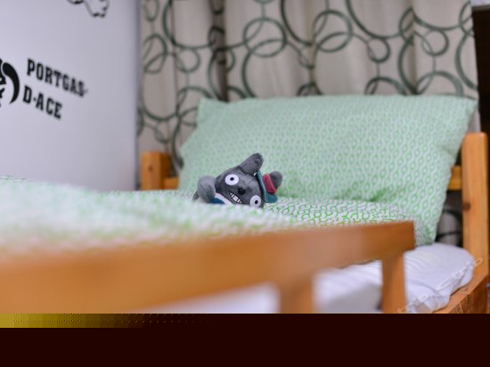 海贼王四人间（床位房）