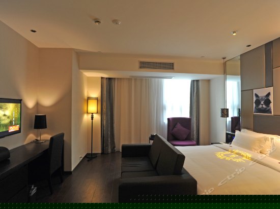 天才眼镜猫精选大床房