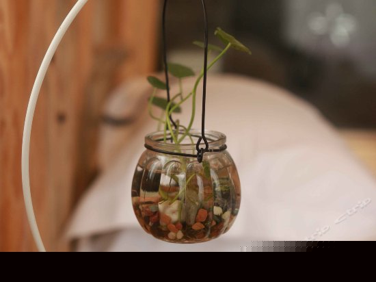 阳光蜜月大床房