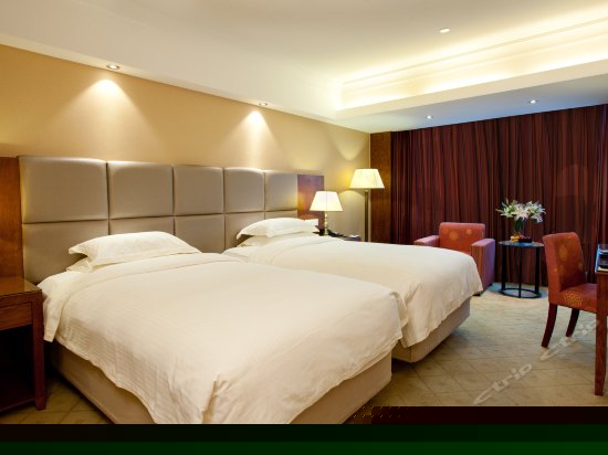 商务豪华双床房