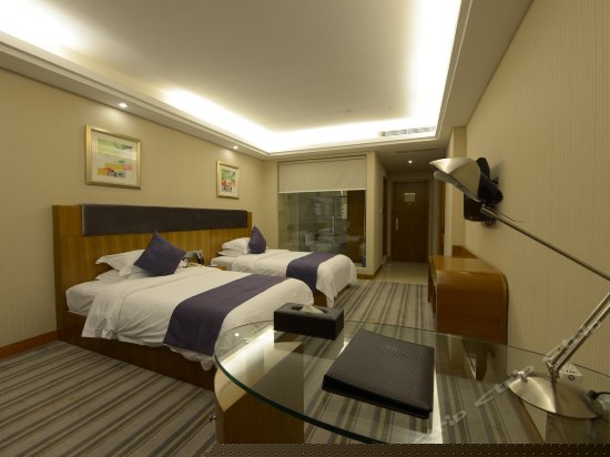 豪华商务双床房