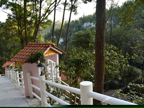 豪华别墅温泉单人房