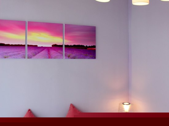 205（浪漫紫色）