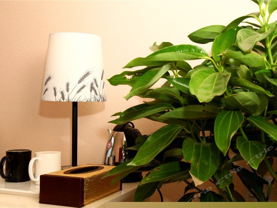 绮罗香田园风光商务套房