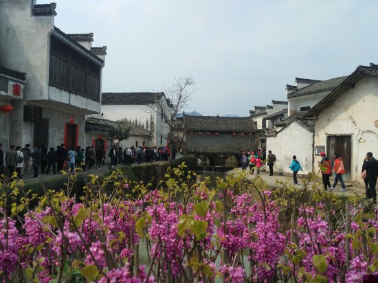 周边图片
