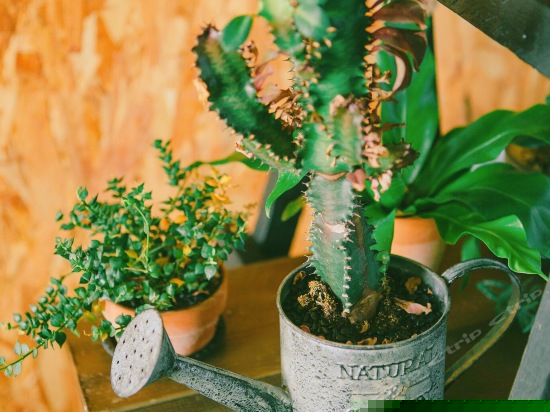 RoomN海景双人房