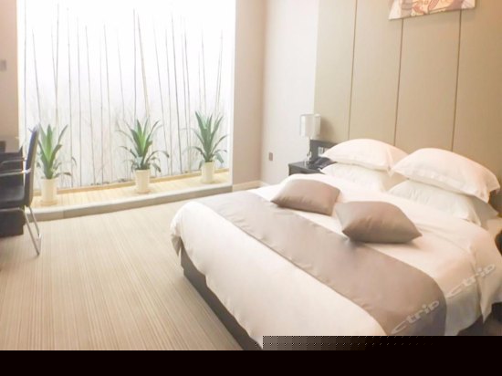 商务景观房（无窗）