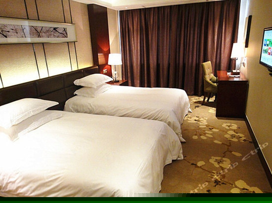 豪华双床房