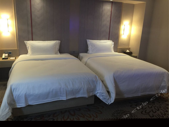 豪华双床房