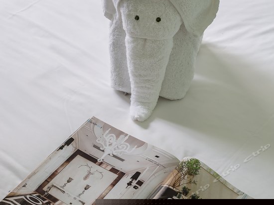 华灯江畔家庭房