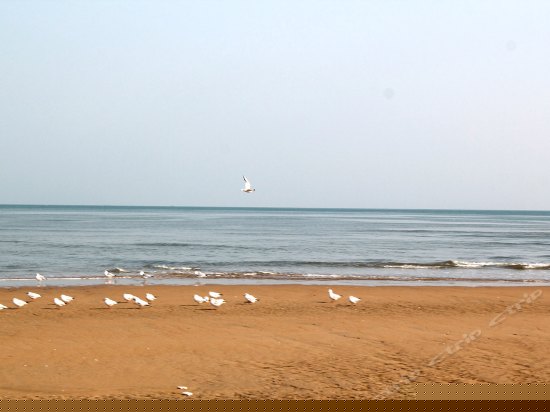 精品海景大床房