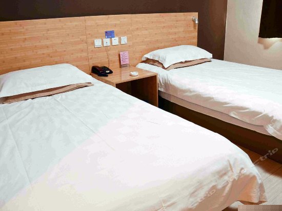 绿色环保标准间