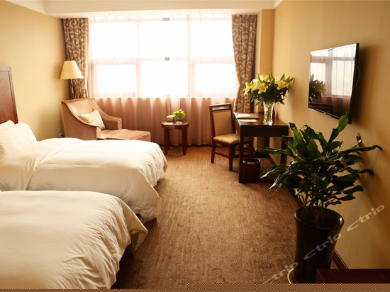 高级双床房