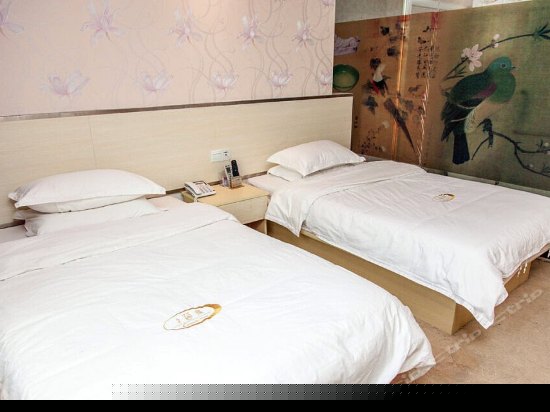 豪华数码双人间