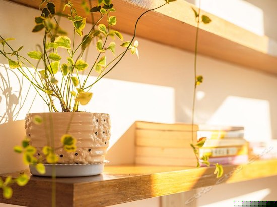 180度豪华海景星空套房