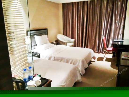 特价双床房(无窗)