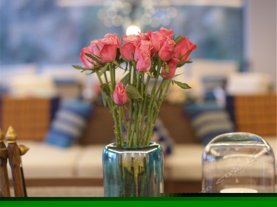 独立阳台海景房