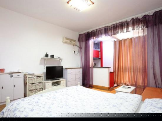 标准大床公寓房