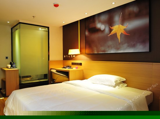 iu Suite(商务套房)