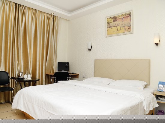 豪华夫妻电脑房